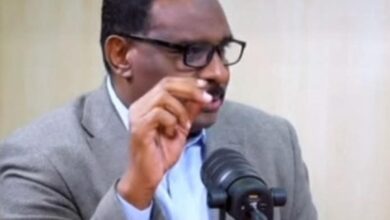 ضياء الدين بلال يكتب.. النور حمد شاهد زور في خدمة المليشيا
