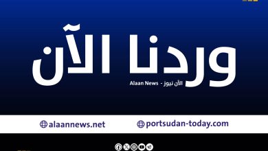 الامارات تخترق التزامتها الدولية.. محكمة العدل الدولية تعقد جلسة اليوم