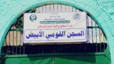 به عناصر للمليشيا.. مسيرة إماراتية تستهدف سجن الأبيض